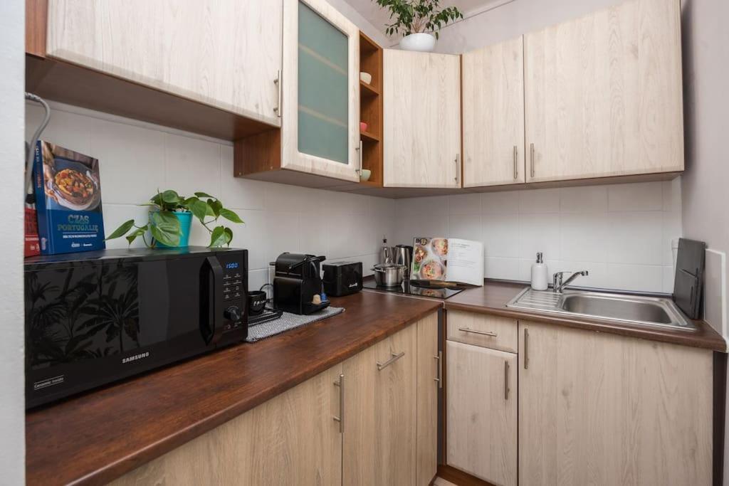 Specious With Park View Warschau
